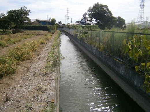 五ヶ用水路  (岩槻区末田～尾ヶ崎)