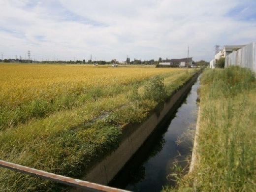 人巻用水路  (岩槻区末田～釣上)